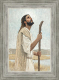 Our Shepherd