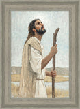 Our Shepherd