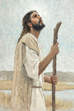 Our Shepherd