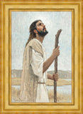 Our Shepherd