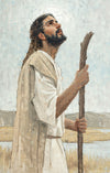 Our Shepherd