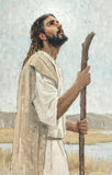 Our Shepherd