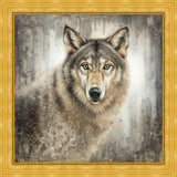 Untamed Eyes Large Wall Art