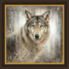 Untamed Eyes Large Wall Art