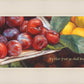 By Their Fruit Ye Shall Know Them