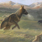 Sheep Dog