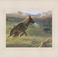 Sheep Dog