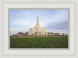 Gilbert Temple 08