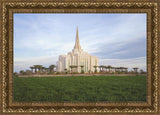 Gilbert Temple 08