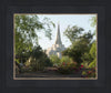 Gilbert Temple 14