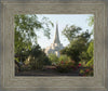 Gilbert Temple 14