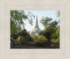 Gilbert Temple 14