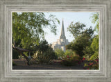 Gilbert Temple 14