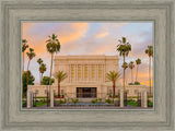 Mesa Palm Trees