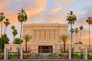 Mesa Palm Trees