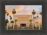 Mesa Palm Trees