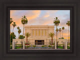 Mesa Palm Trees