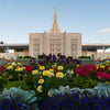 Idaho Falls Temple 03