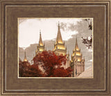 Salt Lake Temple 05