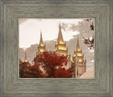 Salt Lake Temple 05