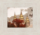 Salt Lake Temple 05