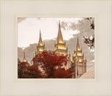 Salt Lake Temple 05