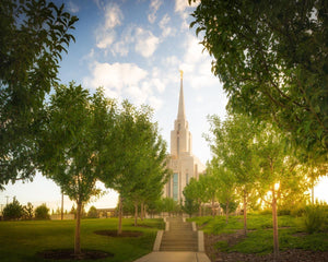 Oquirrh Mountain Golden Glow