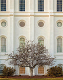 St George Temple 02