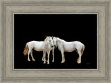 Three White Horses