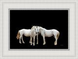 Three White Horses