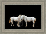 Three White Horses