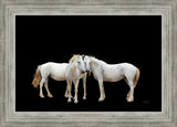 Three White Horses