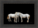 Three White Horses