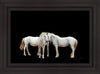 Three White Horses