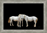 Three White Horses