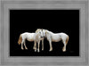 Three White Horses