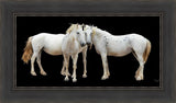 Three White Horses