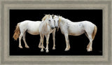 Three White Horses