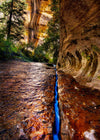 Zions Fissure