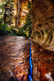 Zions Fissure