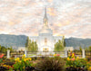 Orem Utah Sunrise Flowers