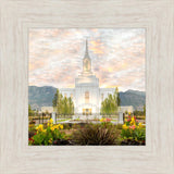 Orem Utah Sunrise Flowers