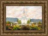 Orem Utah Sunrise Flowers