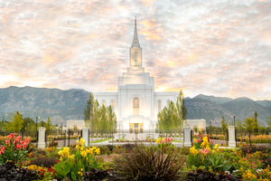 Orem Utah Sunrise Flowers Large Wall Art