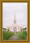 Red Cliffs Utah Palm Trees Large Wall Art