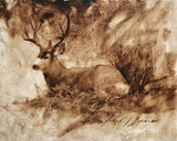 Bedded Buck