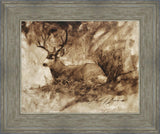 Bedded Buck