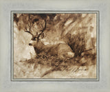 Bedded Buck