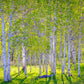 Early Morning Light in the Wasatch Backcountry