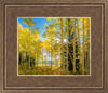 Autumn in the Rocky Mountains, Wasatch National Forest, Utah